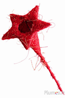 Sisal-Dekostern am Stiel - 60 cm - rot